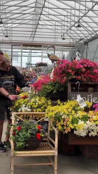 Blumenladen Pflanzen Sämlinge Eine Große Abteilung Geschäft Für Den Kauf — Stockvideo