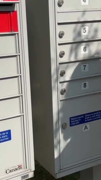 Γραμματοκιβώτιο Που Λαμβάνει Γράμματα Γυναίκα Έλαβε Πακέτο Κόκκινο Κλειδί Ταχυδρομείου — Αρχείο Βίντεο