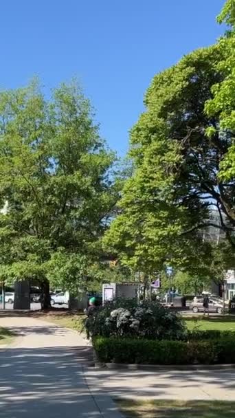 Park Fliegende Möwe Zwischen Frühlingsbäumen Grün Wolkenkratzer Leben Der Großstadt — Stockvideo