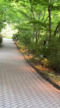 Victoria British Columbia, Kanada 2023 Ulusal Tarih Bölgesi, Butchart Bahçeleri, Batık Bahçeler 'de turistlerin gezdiği yollar. Yüksek kalite 4k görüntü