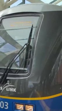 Mavi hat, tren yolu boyunca trenle ilerler tren yolu manzaralı ağaçlar yaz treni manzaralı Vancouver Canada 2023