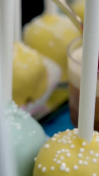 自助餐桌上的配餐甜食芝士蛋糕果冻鸟奶加覆盆子苹果串串在一起 用巧克力品尝美味的甜点 — 图库视频影像