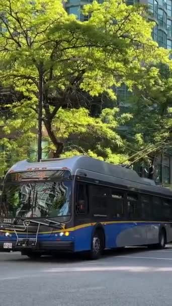 Trolejbus Mieście Vancouver Ludzie Przebiegający Przez Skrzyżowanie Skręcić Lewo Prawdziwe — Wideo stockowe