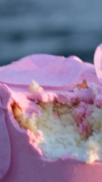 Bitten Pink Cake Stones Ocean Sea Celebrate Nature Mice Ate — Stock Video
