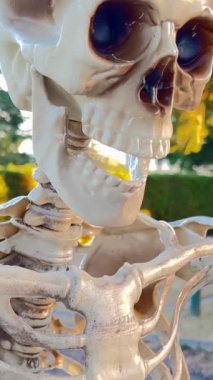 Bir insan iskeleti ağaçta oturuyor, ve yanında bir kuş iskeleti, bir akbaba, kamera yavaşça süzülüyor, Cadılar Bayramı için Cadılar Bayramı için arka plan videosu çekiyor.