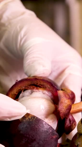 Pokaz Ręczny Mangosteen Plasterkach Fioletowej Skóry Białe Mięso Królowej Owoców — Wideo stockowe