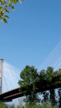 Güneşli bir kış gününde Fraser Nehri 'nden geçen Port Mann manzarası. Surrey, Vancouver, British Columbia, Kanada 'da çekilmiş. Yüksek kalite 4k görüntü