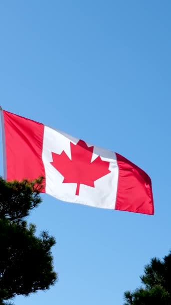 National Canadian Flag Overlay Kanada Plats Och Kommersiella Byggnader Centrala — Stockvideo