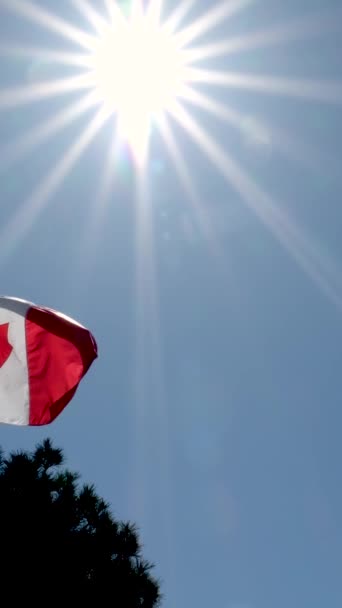 Kanada Flagga Bakgrund Med Tyg Struktur — Stockvideo