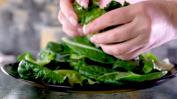 Slow Motion Man Die Salade Maakt Doet Romaine Bladeren Een — Stockvideo