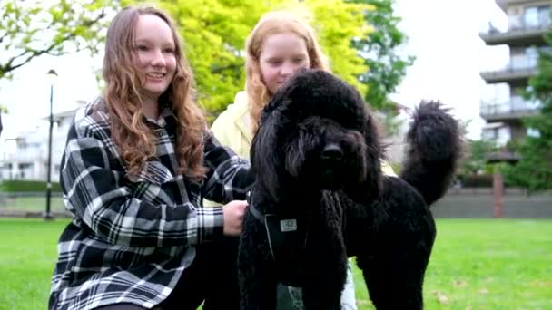 Δύο Έφηβες Που Χαϊδεύουν Ένα Σκύλο Και Αγκαλιάζονται Παίζοντας Μια — Αρχείο Βίντεο