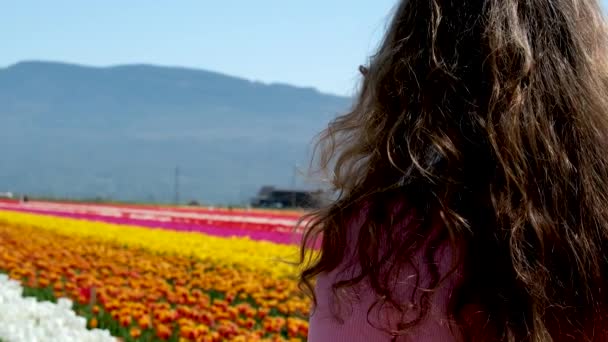 穿着粉色衣服 头戴草帽的年轻女子游客站在盛开的郁金香地里 春天的时候高质量的照片 — 图库视频影像