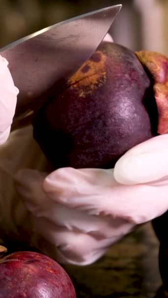 Mangosteen Meyve Kraliçesinin Dilimlenmiş Mor Derisi Beyaz Eti Boldur Mangosteen — Stok video