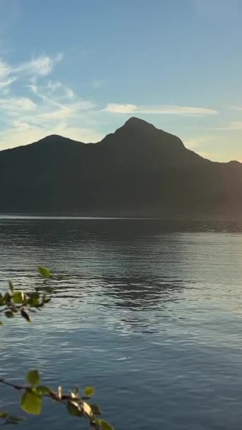 Porteau Cove Provincial Park Kanada Vancouver Vacker Natur Stilla Havet — Stockvideo