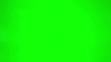 Kadın elleri, yeşil arkaplan krom anahtarının çerçevesini yumuşatır. Video ekranına müstehcen bir jest koyarsınız.