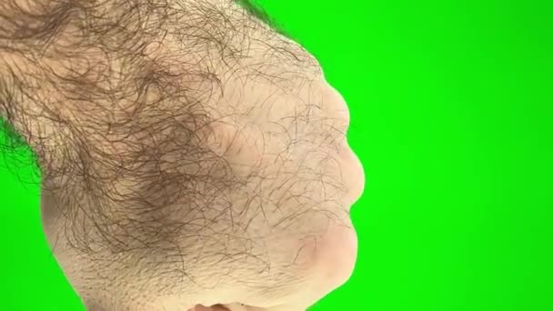 Männliche Haarige Hand Auf Einem Grünen Chroma Schlüsselhintergrund Scheint Halten — Stockvideo