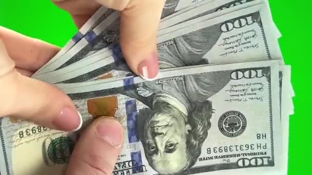 Mãos Femininas Estão Contando Uma Pilha Notas 100 Dólares Folheando — Vídeo de Stock