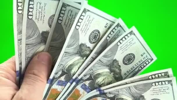 Man Counting Dollar Notes Isolated Green Screen Background Close High — ストック動画