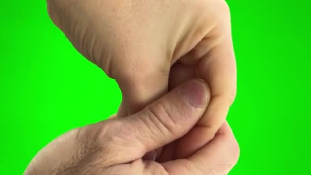 緑の背景クロマキー2つの手は女性の手を満たしています鳥の男性毛深い手はそれをキャッチそれは指を横切り — ストック動画