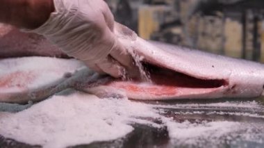 Tuzlu ve şekerli kırmızı balık serpiştiren tuzlu balıklar. Eldiven giyen adam hafif tuzlu balık pişiriyor.