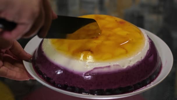 Gelee Kuchen Mit Einem Scharfen Messer Blaubeeren Pfirsich Quark Käsekuchen — Stockvideo