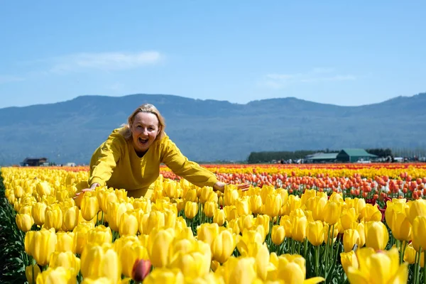 Woman Walking Yellow Tulips Field Woman Yellow Tulips Field — Stock Photo, Image