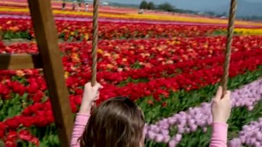 Sallanan lale tarlası. Beyaz yaz elbiseli çekici sarışın kadın Coloful lale tarlalarında salıncakta sallanıyor. Chilliwack. İngiliz Kolombiyası. Kanada