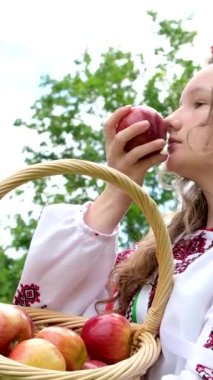 Kafasında kırmızı bir çiçek çelengi olan genç ve güzel bir kız vyshyvanka Ukrayna ulusal kıyafet kurdeleleriyle kırmızı gelincikler. 
