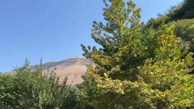 Albania Saranda by stritsa nehri, temiz su, mavi göz gezisi, UNESCO yaz seyahatlerinde listelenen gezi yerleri. Nehirde şeffaf içme suyu