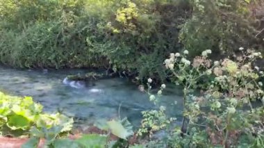Albania Saranda by stritsa nehri, temiz su, mavi göz gezisi, UNESCO yaz seyahatlerinde listelenen gezi yerleri. Nehirde şeffaf içme suyu