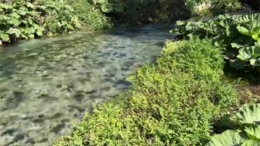 Albania Saranda by stritsa nehri, temiz su, mavi göz gezisi, UNESCO yaz seyahatlerinde listelenen gezi yerleri. Nehirde şeffaf içme suyu