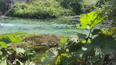 Albania Saranda by stritsa nehri, temiz su, mavi göz gezisi, UNESCO yaz seyahatlerinde listelenen gezi yerleri. Nehirde şeffaf içme suyu