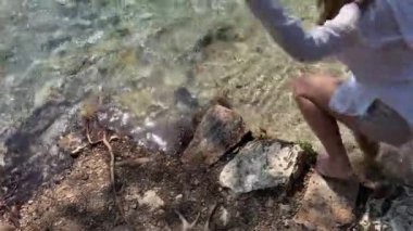 Albania Saranda by stritsa nehri, temiz su, mavi göz gezisi, UNESCO yaz seyahatlerinde listelenen gezi yerleri. Nehirde şeffaf içme suyu