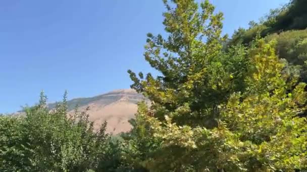 알바니아 Saranda Bystritsa 유네스코 여행에 나열된 장소에서 강에서 투명한 식용수 — 비디오