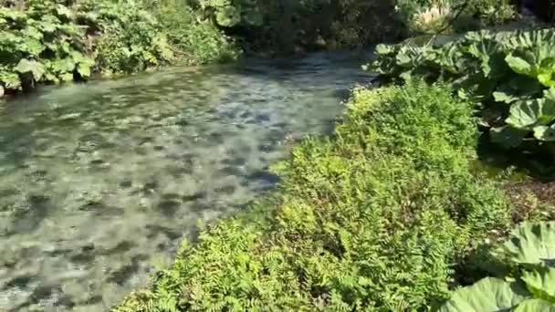 Αξιοθέατα Αλμπάνια Saranda Bystritsa Ποτάμι Καθαρό Νερό Μπλε Μάτι Αξιοθέατα — Αρχείο Βίντεο