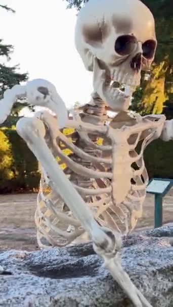 Esqueleto Humano Senta Uma Árvore Lado Dela Está Esqueleto Pássaro — Vídeo de Stock