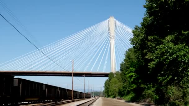 弗拉瑟河上的曼港大桥 Sunny Summer Surrey Vancouver British Columbia Canada 2023 — 图库视频影像