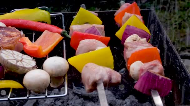 Skewers Med Läckra Kebab Eller Grill Fräs Cam Rör Sig — Stockvideo