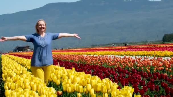 Mujer Adulta Campo Tulipanes Ropa Azul Amarilla Como Bandera Ucrania — Vídeos de Stock
