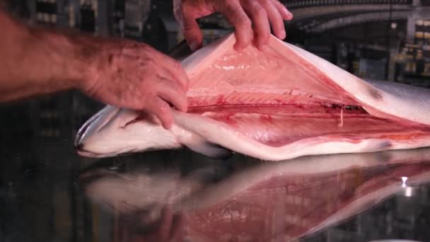 익지않는 필렛에 뿌리는 소금과 향신료 천천히 움직여 물고기 조미료 스테이크 — 비디오