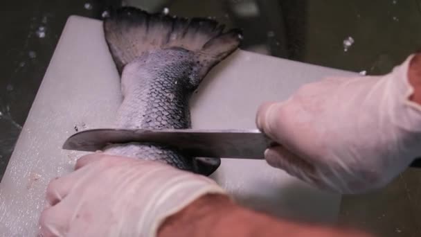 익지않는 필렛에 뿌리는 소금과 향신료 천천히 움직여 물고기 조미료 스테이크 — 비디오