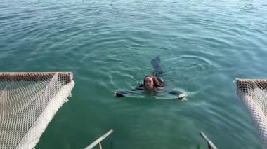 Arnavutluk 'ta VIP deniz kenarı tatili. Siyah pareo yürüyüşlü bir kadının hamağı üzerinde. Yavaş çekim videosu telefonun elinde. Harika bir hobi, rahatla. Güneş yatağının üzerinde beyaz pireler boyunca yürü.