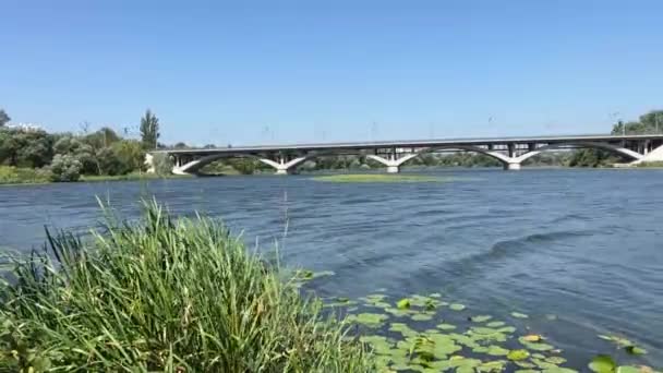 Vinnitsa Manzaralı Kiev Köprüsü Ndeki Toprak Seti Yeşil Kamışlı Güney — Stok video