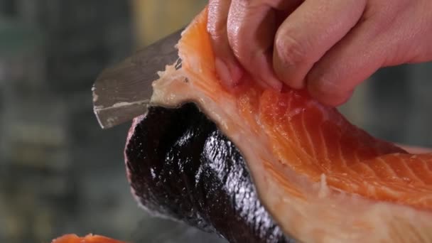 Proceso Salazón Pescado Rojo Salmón Pelar Pescado Cáscara Cubrir Con — Vídeo de stock