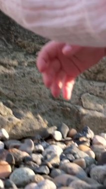 4 yaşındaki beyaz bir kızın ayakları çıplak ayakla doğal bir derede yürürken ve tırmanırken kayalarla ve yazları oynarken. Haziran 'da Almanya' da görülmüş. Yüksek kalite 4k görüntü