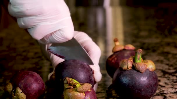 Mão Mostrar Mangostão Cortado Pele Roxa Carne Branca Rainha Fruit — Vídeo de Stock