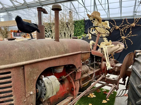 背景にトラクターの車輪の後ろに座っているわらの帽子のスケルトン秋の葉とオーバーヘッド納屋の屋根錆びた鉄トラクターハロウィーンの人間の骨に関するテキストの背景 ストック写真