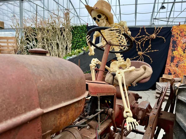 背景にトラクターの車輪の後ろに座っているわらの帽子のスケルトン秋の葉とオーバーヘッド納屋の屋根錆びた鉄トラクターハロウィーンの人間の骨に関するテキストの背景 ストック画像