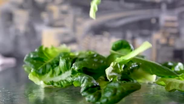 Slicing Romaine Lettuce Chopping Lettuce Romaine Knife Cutting Board Preparing — Stock Video