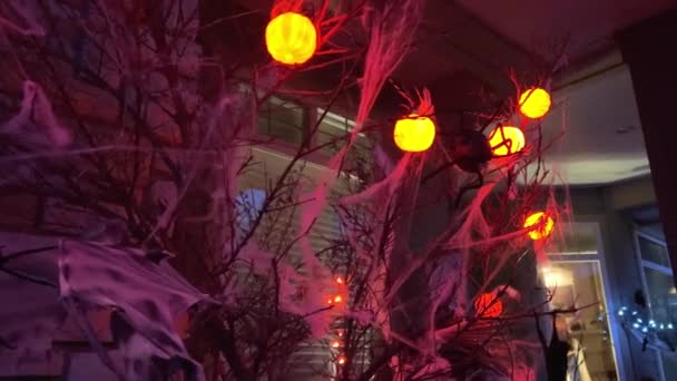 ハロウィーンアメリカとカナダの間の家のスパイダーライト電球の近くの恐ろしい装飾は テキストのための窓のクローズアップスペースの近くの休日の秋のカボチャを飾ります 映画の始まり — ストック動画